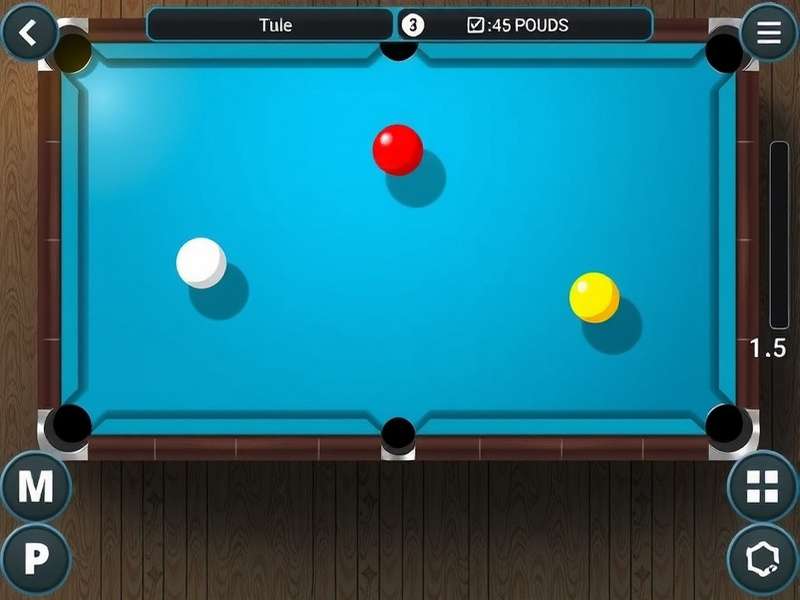 Professional 8 Ball Pool game setup with cue and balls